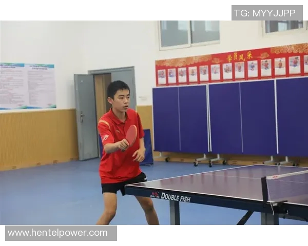 杨伟独家分享乒乓球技巧与心得助你提升球技的全面指南