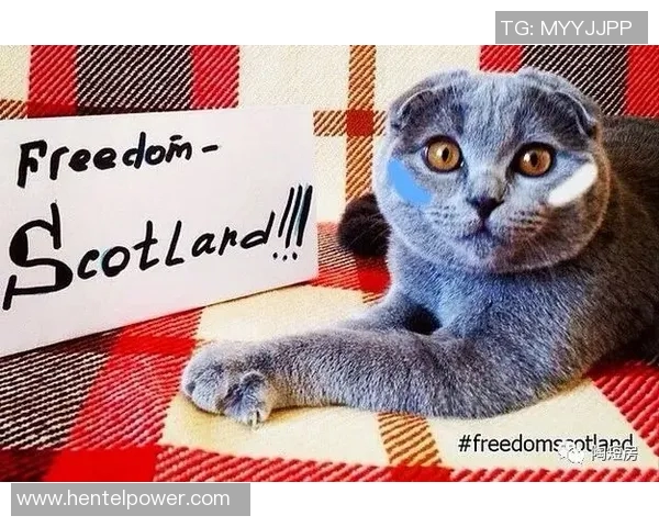 威尔士与英格兰精彩对决录播回顾分析及精彩瞬间分享 威尔士与英格兰精彩对决录播回顾分析及精彩瞬间分享