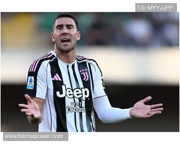 弗拉霍维奇：从天才前锋到意甲新星的成长之路与未来展望