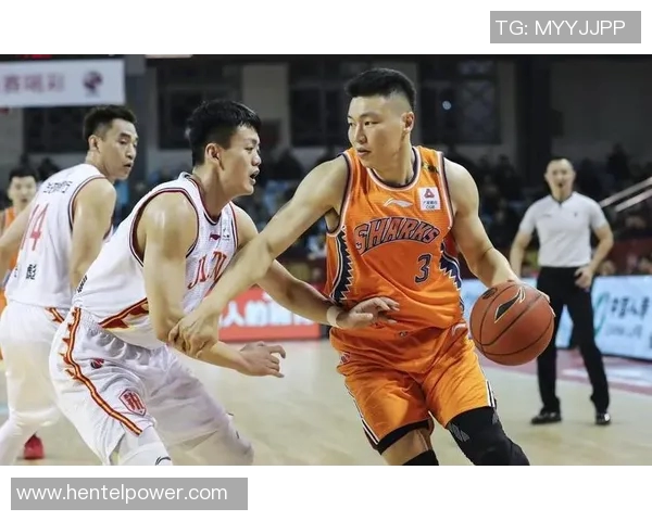 李根：从篮球场上的拼搏者到社会公益的践行者，展现多元人生的精彩旅程