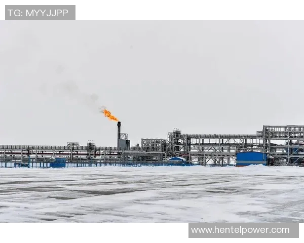 亚马尔地区的能源开发与国际合作前景分析与展望