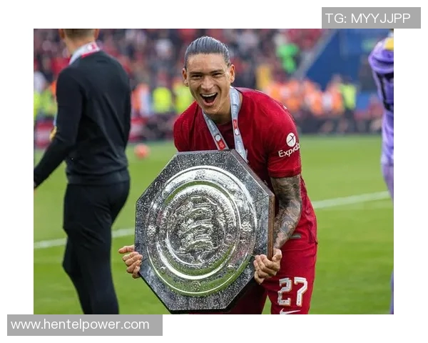 努涅斯在赛场上的崛起与挑战解析以及未来发展展望